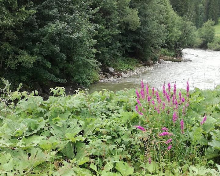 Schelpen-Alp Restaurant